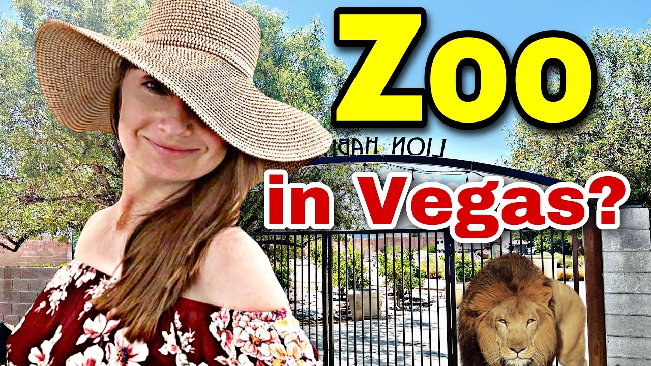 Looking for Something Else To Do? LAS VEGAS has a ZOO. #zoolife 🦁🦒🦙