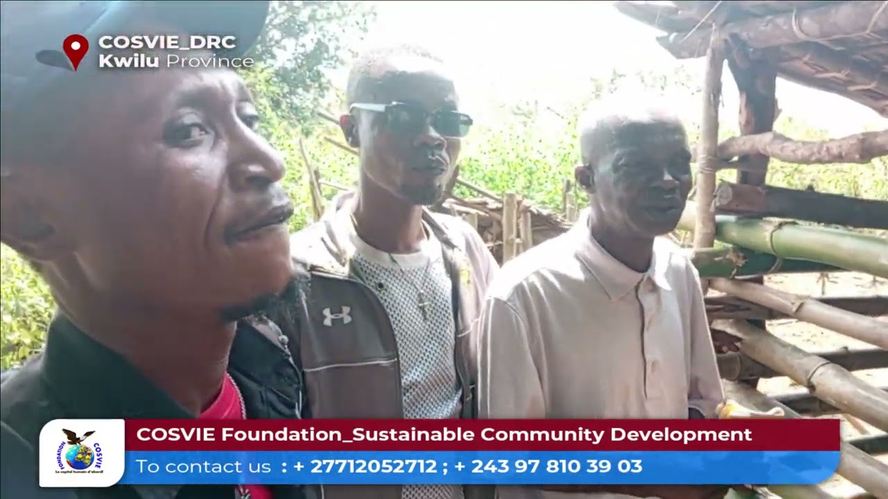 COSVIE a Nsamba Sam  L elevage de porcs pour sortir les familles de la pauvrete