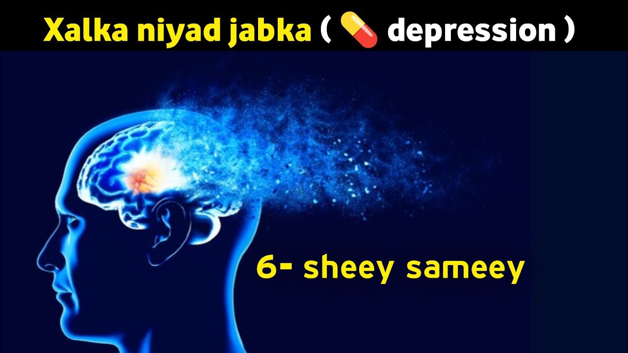 Niyad jab iyo Quus hadaa dareemeeyso ku Dadaal 6- daan sheey