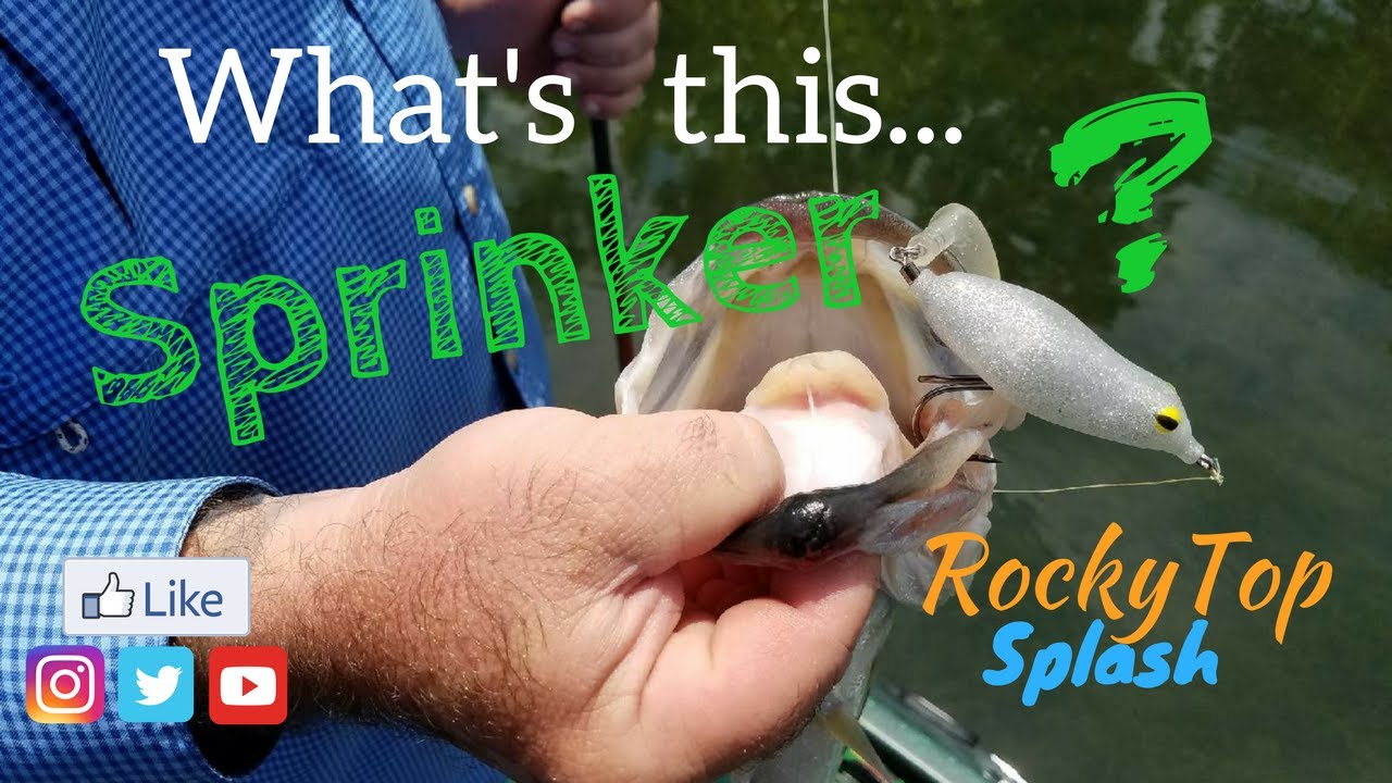 Complete Breakdown of The New Teckel Lures SPRINKER FROG