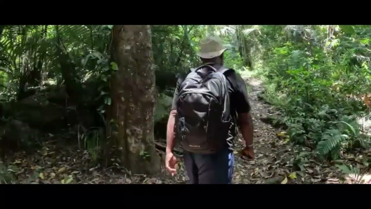 Cyclop Foothills Treks || Jayapura