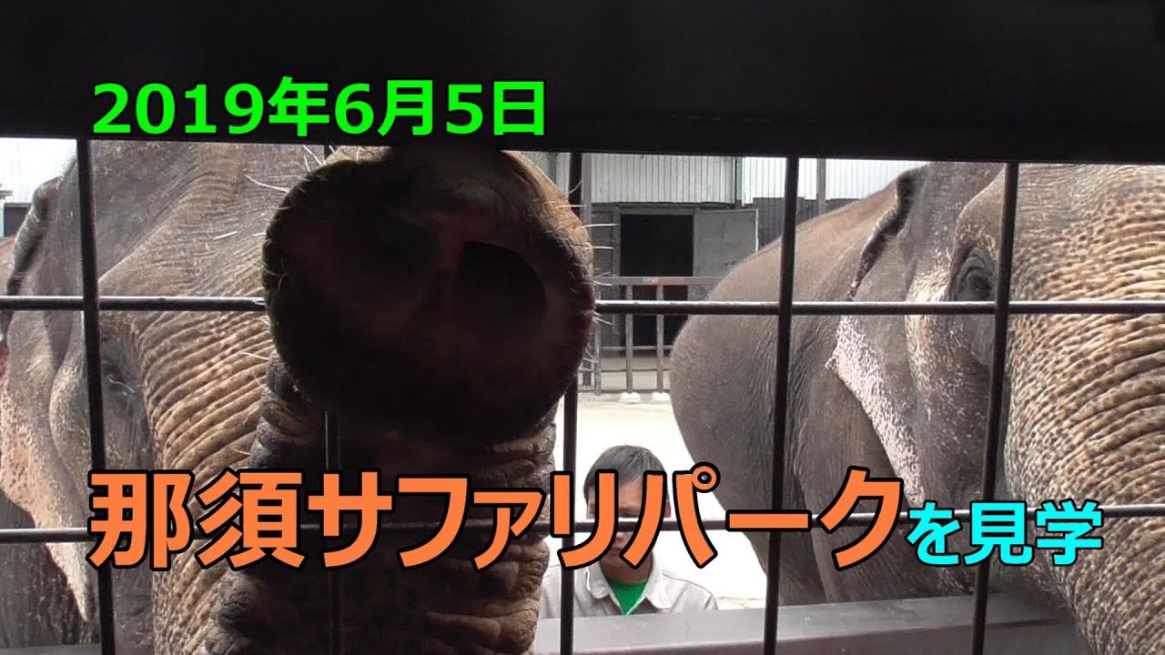 【那須サファリパークを見学！】