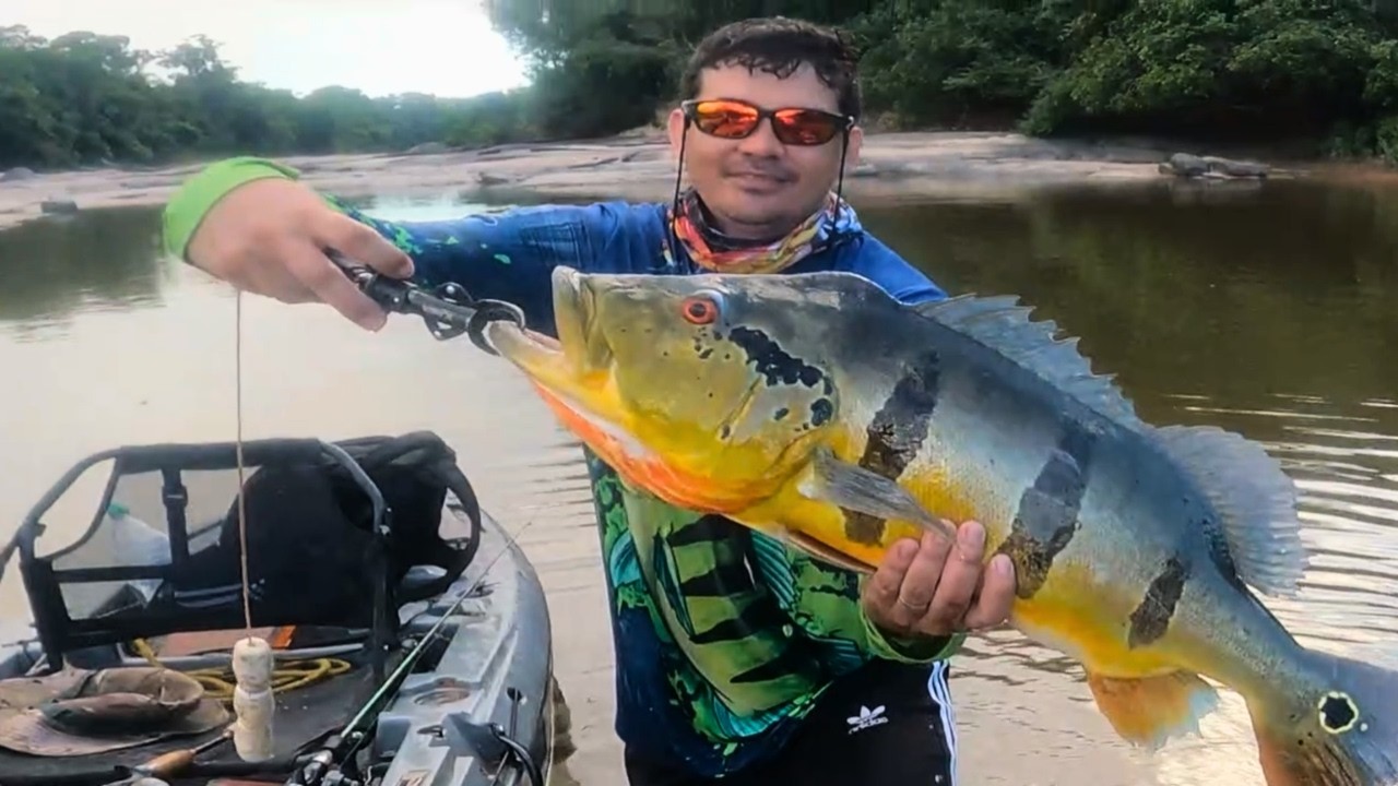 O Parceiro Capturou Seu Recorde, 