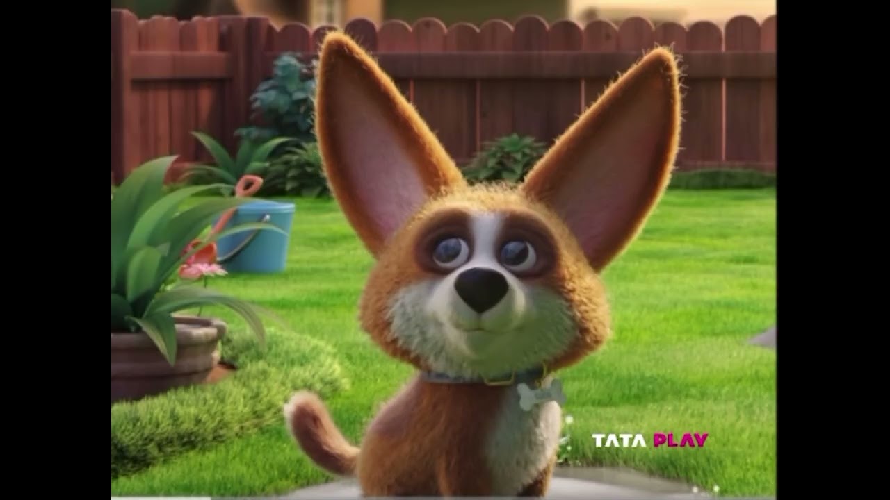 Tata play coco says hello