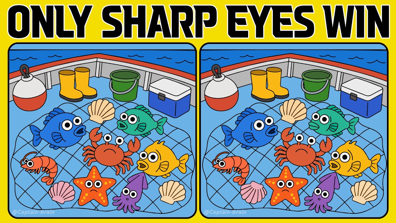 Can Your Sharp Eyes Beat These Spot the Difference Puzzles? (A Bit Tricky)
