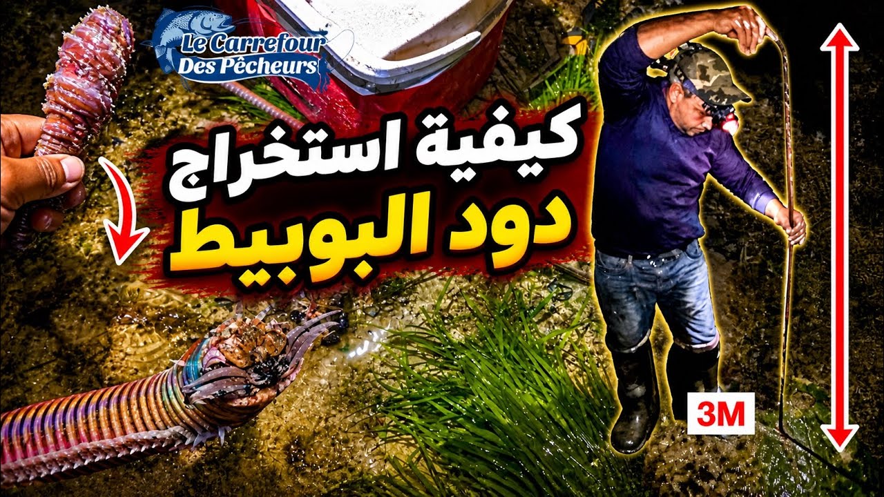 كيفية استخراج دودة البوبيط او اناكوندا البحر بطريقة احترافية مع الرايس سيمو - Biggest Bloodworm ever