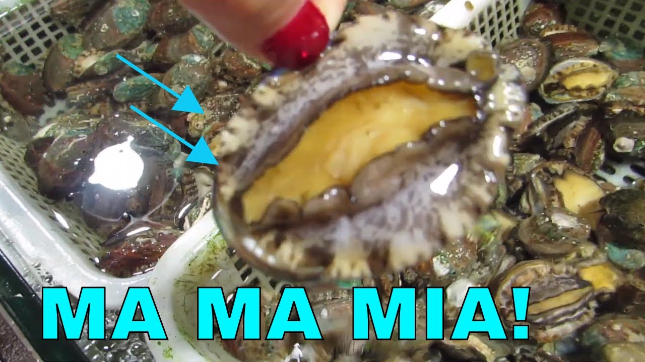 INSANE CHINESE SEAFOOD MARKET TOUR IN BEIJING