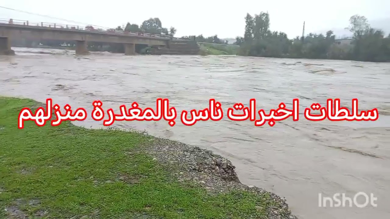 سبحان من خلاق فسوا متفوتش عليك هذا الفيديو يستحق المشاهدة ☔😲