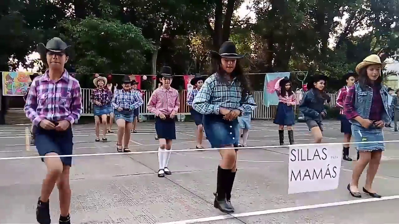 Pavido navido