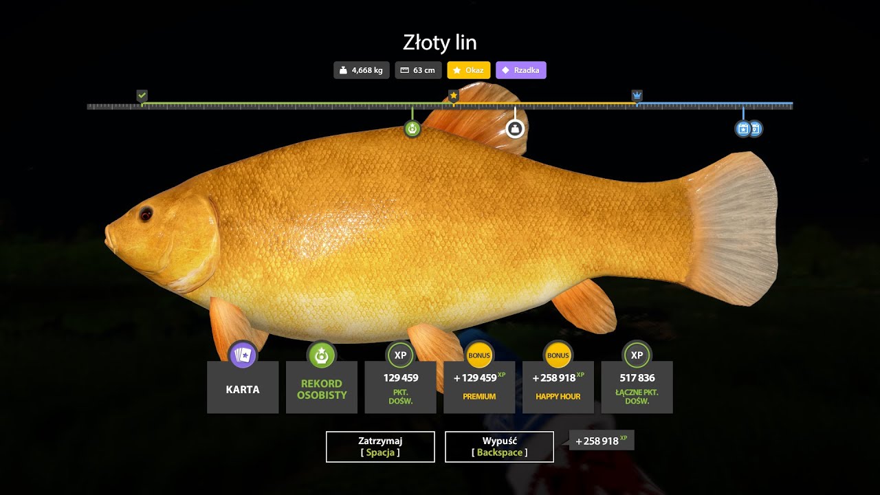 Russian Fishing 4 Golden Tench TROPHY - Bear Lake