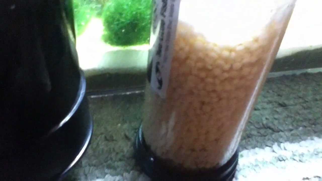 250gallon reef setup......phosban reactor 150  and 550 Video 9