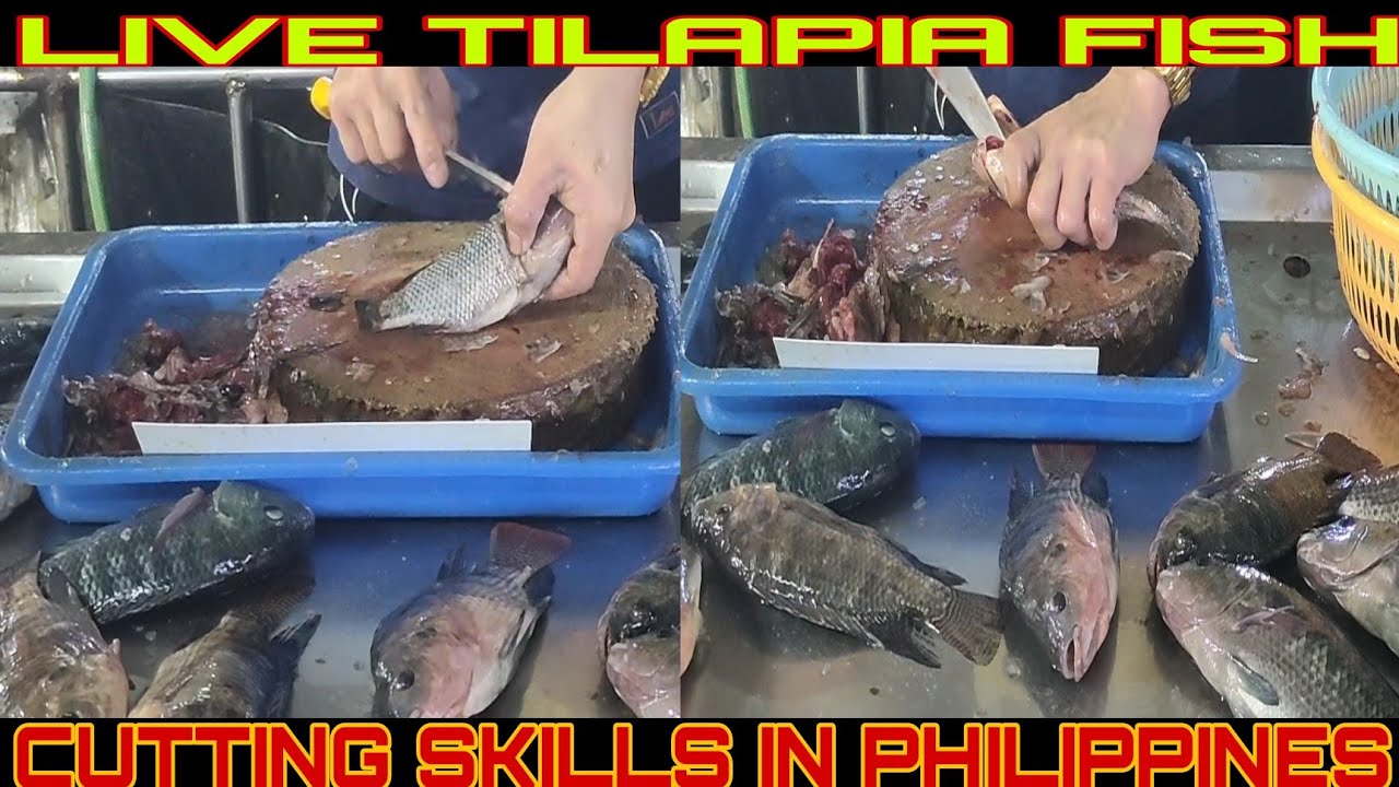 Live Tilapia Fish Cutting Skills in Philippines | How To Clean Live Tilapia Fish