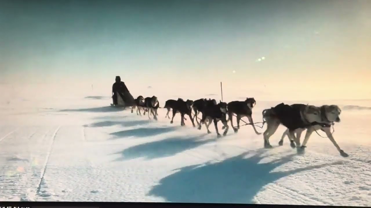 Iditarod 2024 - Dallas and Team Going Through the Blow Hole