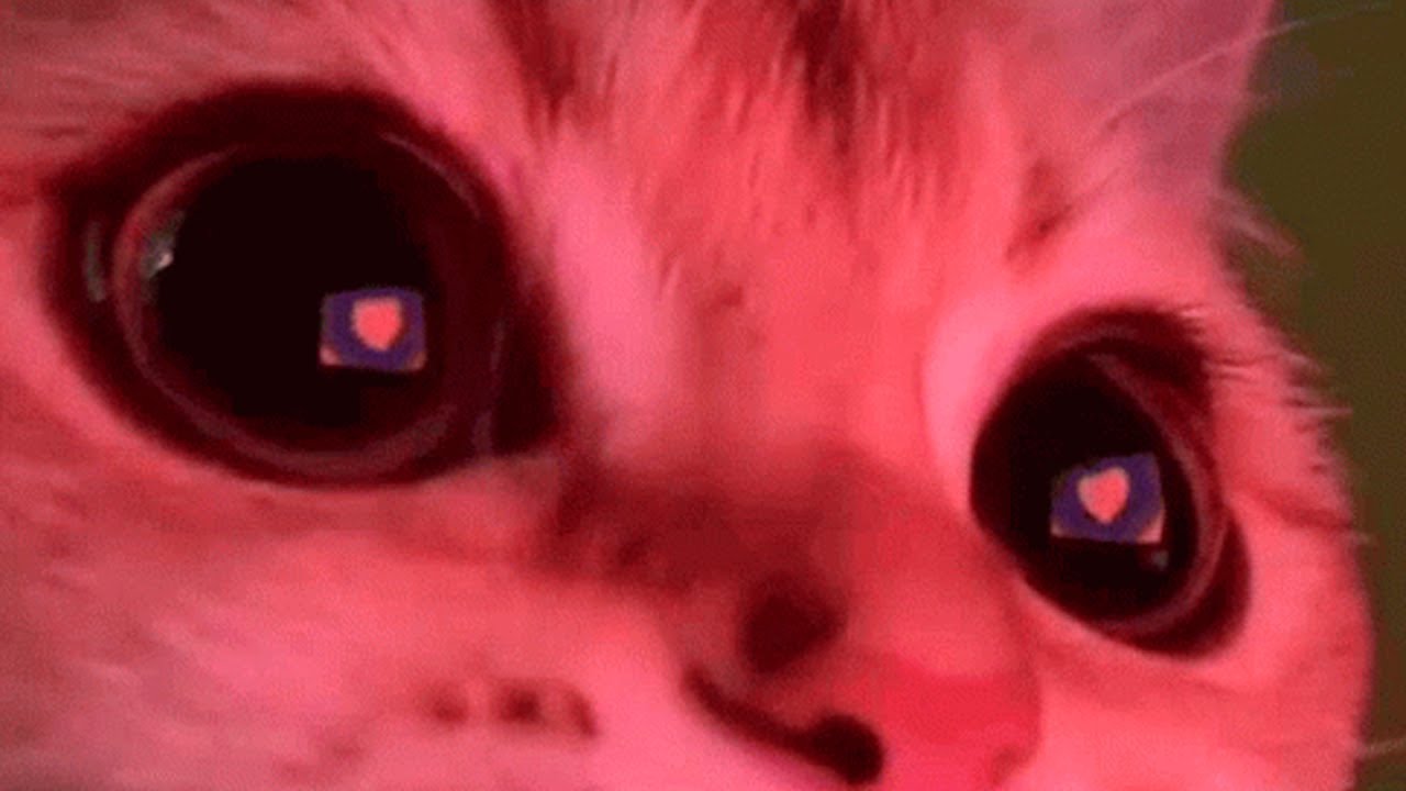 Post Malone - I Like You ft. Doja Cat (slowed + reverb) + (muffled)