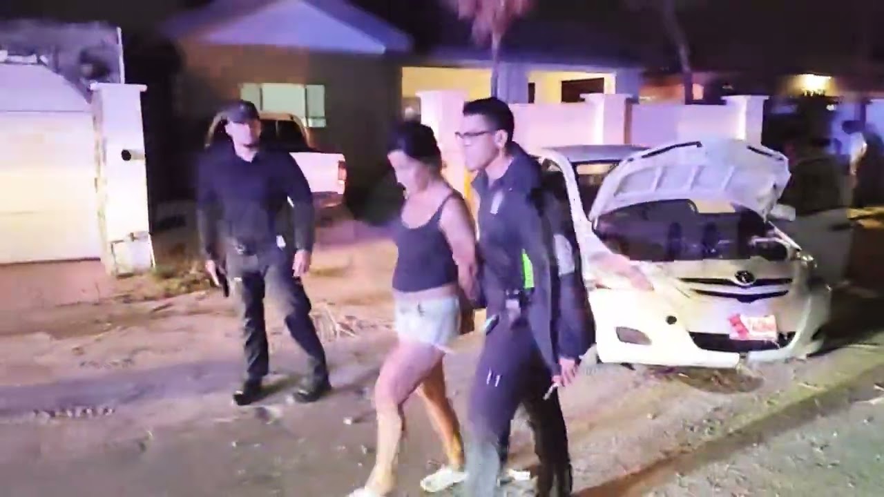 Muhe burachi tra&rsquo;i stuur a baha caminda dal palo di lus, borchi trafico, bari di sushi y cura di cas