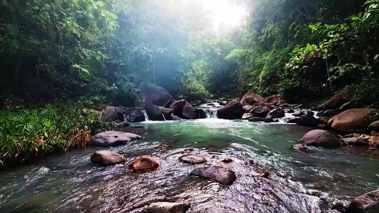 Relaxing River & Birdsong ASMR - Natural Ambience for Sleeping, Study, and Calm Focus