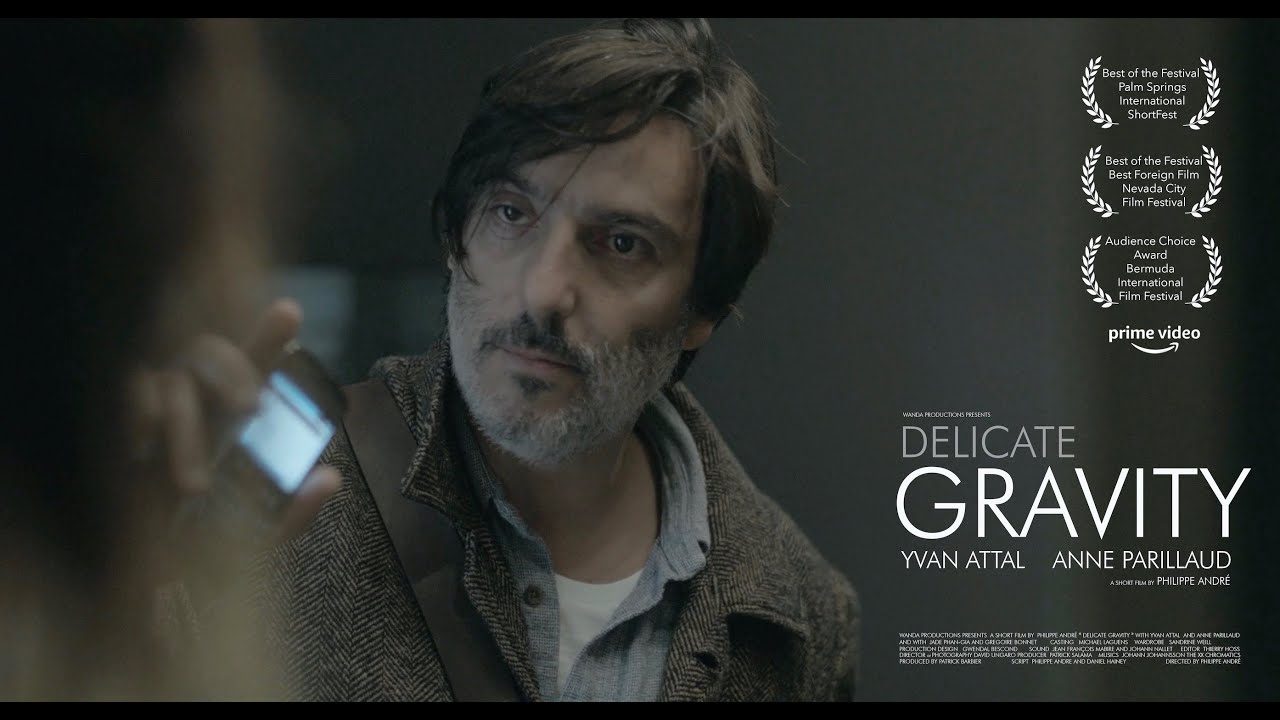 Delicate Gravity - Philippe Andr&eacute;