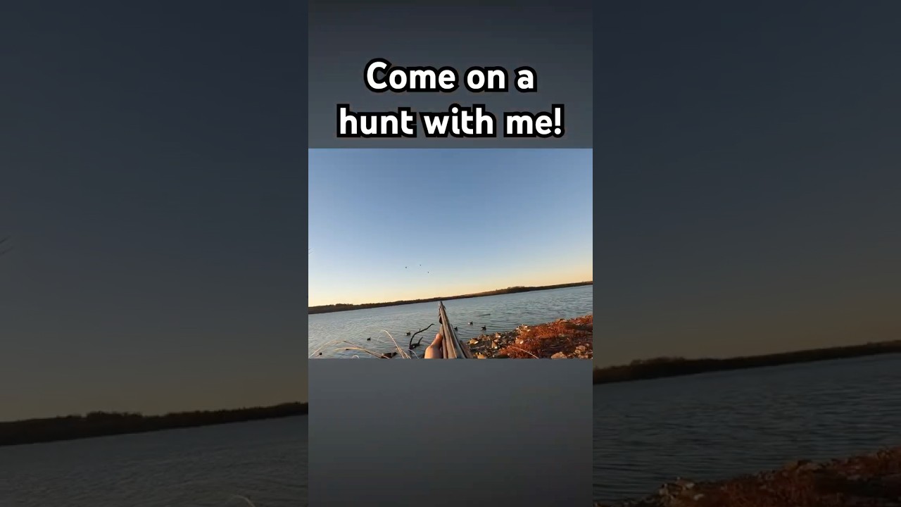 Come On A Hunt With Me!