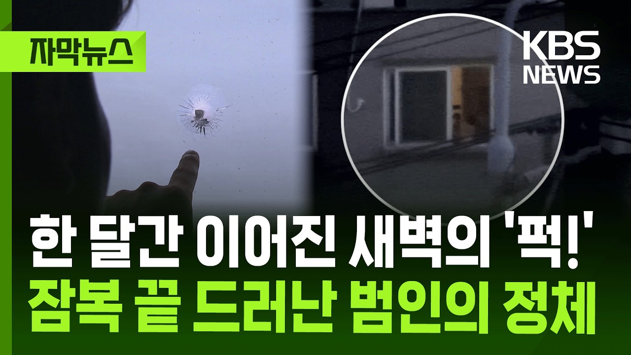 [자막뉴스] 한 달간 이어진 새벽의 '퍽!' 잠복 끝 드러난 범인의 정체 / KBS 2026.05.31.