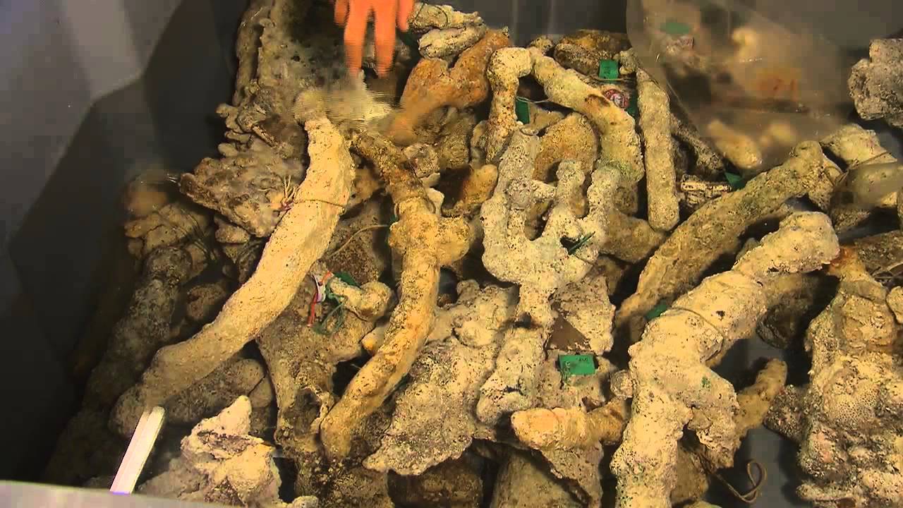 Encrusted Artifacts