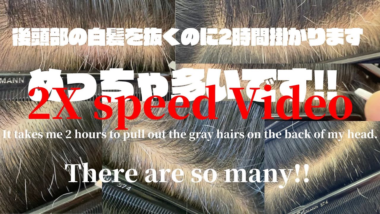 「裏ボスロング動画」2倍速再生です、２時間30分白髪抜き動画です、40分頃から後頭部の白髪を抜き始めます！