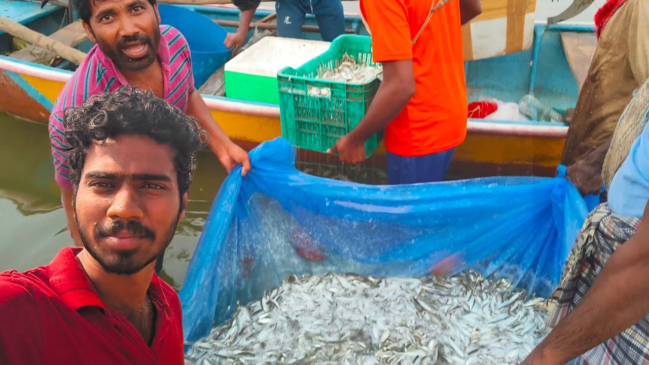 తాజాగా పట్టిన చేపలు 🐟 (Fresh live Fishes)