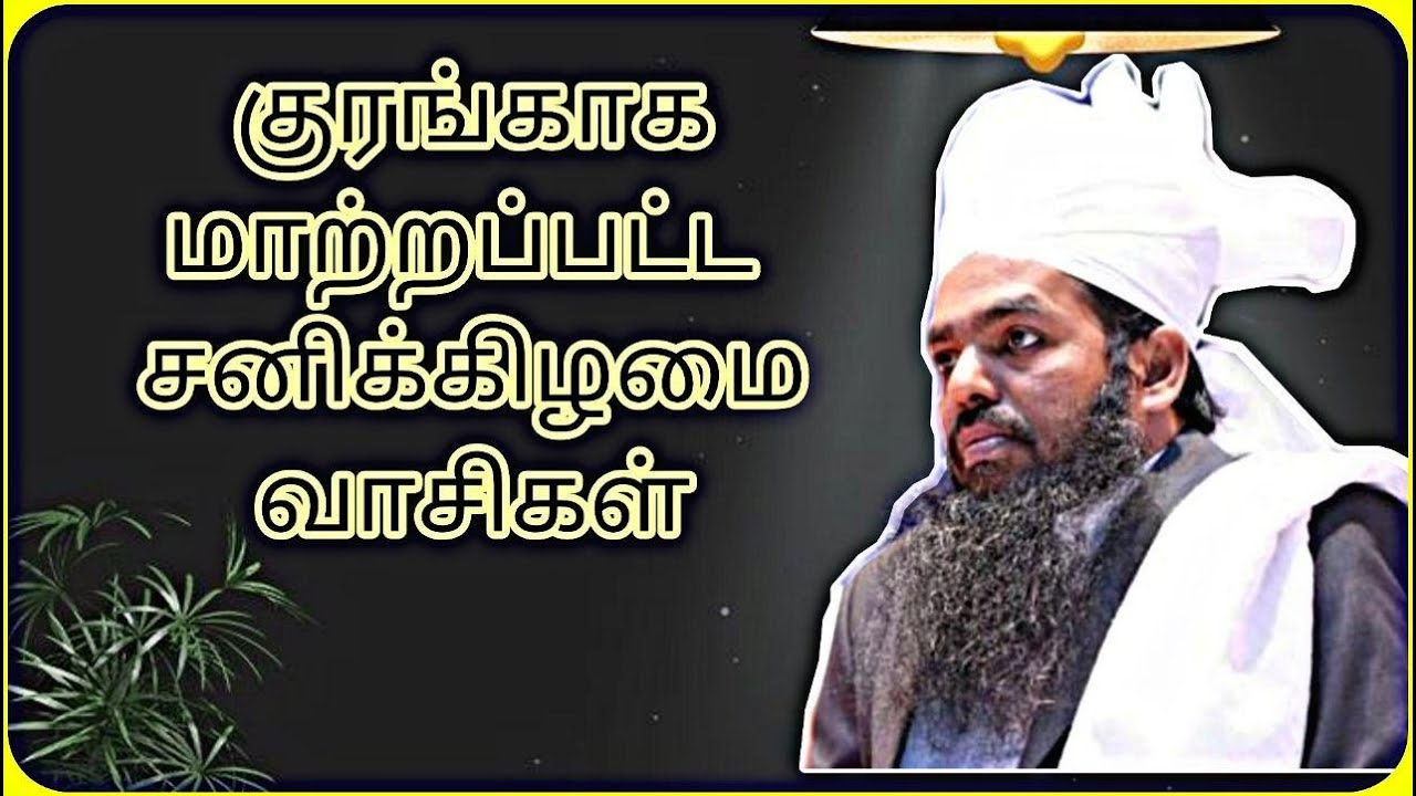 குரங்காக மாற்றப்பட்ட சமூகம் 🐒  / sadheedhudheen baqavi
