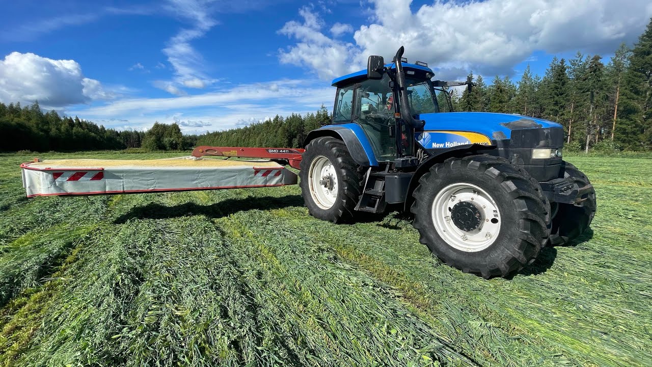 Nyykkärillä kokoviljan niittoa