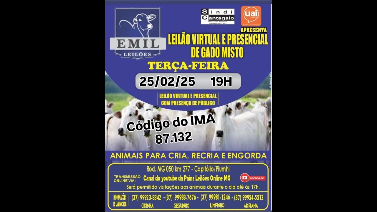 106º Leilão Virtual - EMIL Leilões - Capitólio/Piumhi - MG