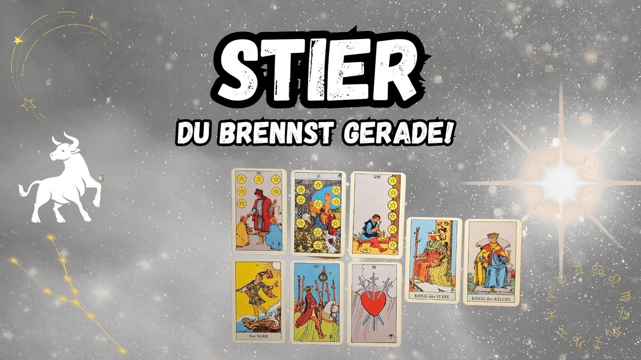 STIER, DAS MUSST DU JETZT WISSEN! ♉️💫