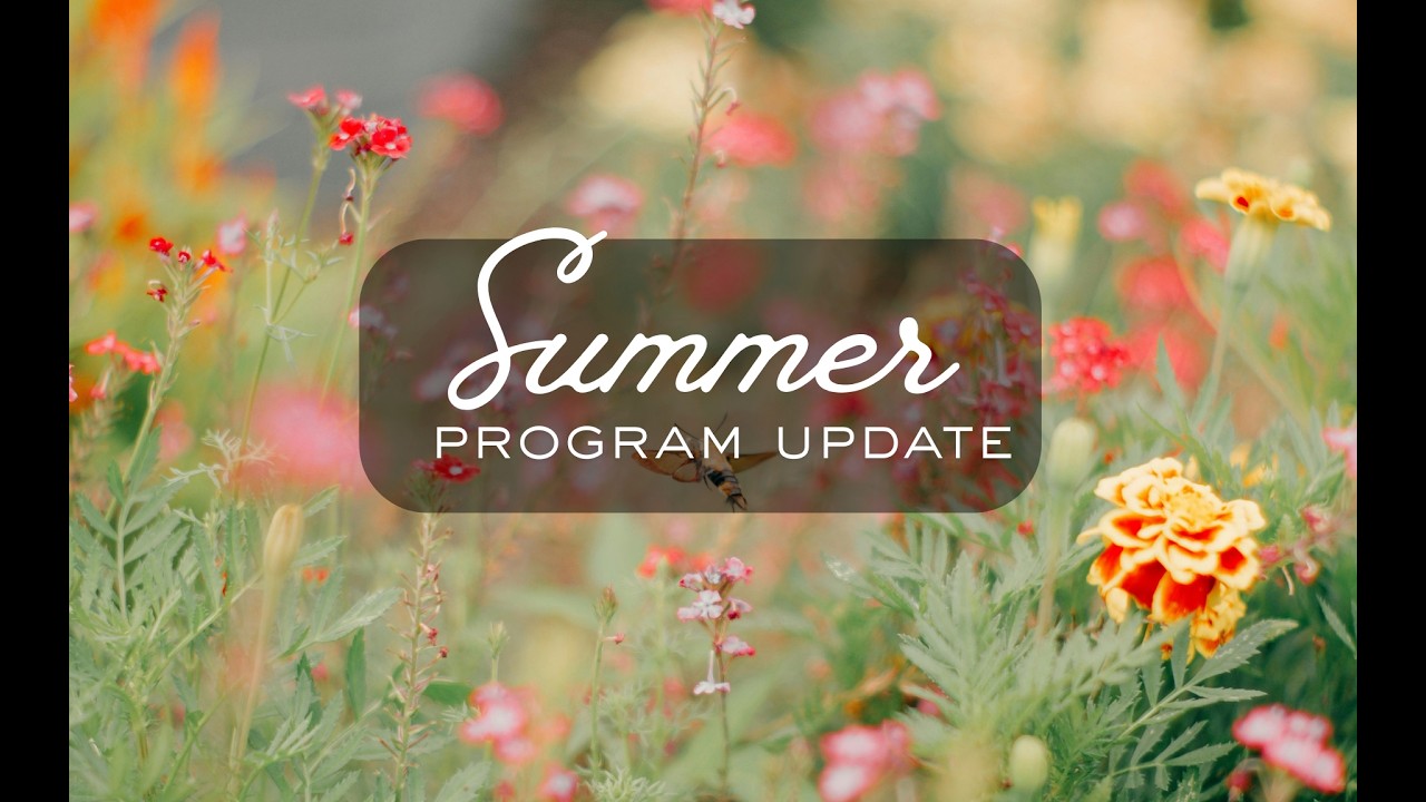 Summer Program Update