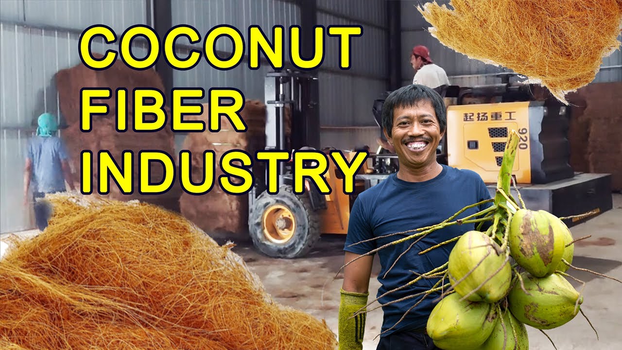 Coconut Fiber Production Process for Export. Unlimited Stock!