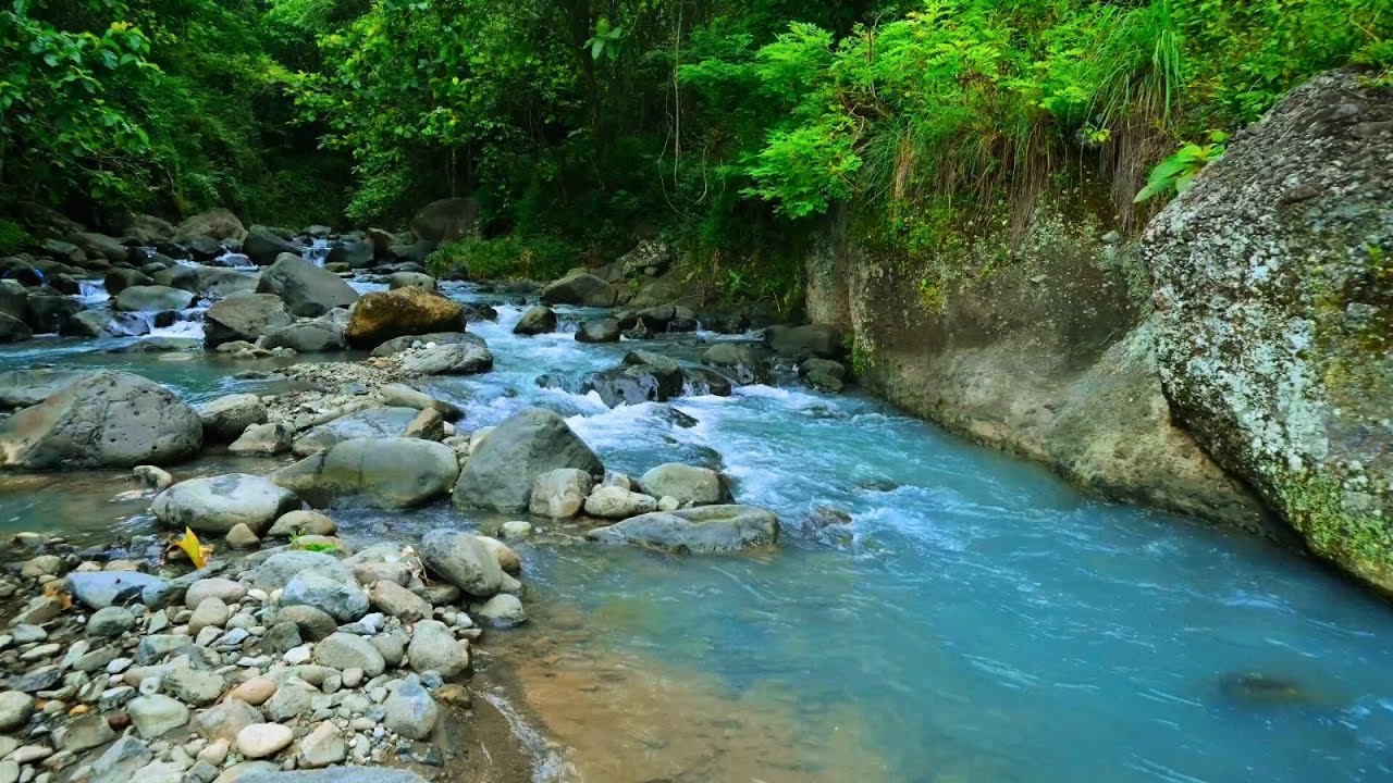 Peaceful River Sounds for Deep Relaxation | Calming Water Ambience
