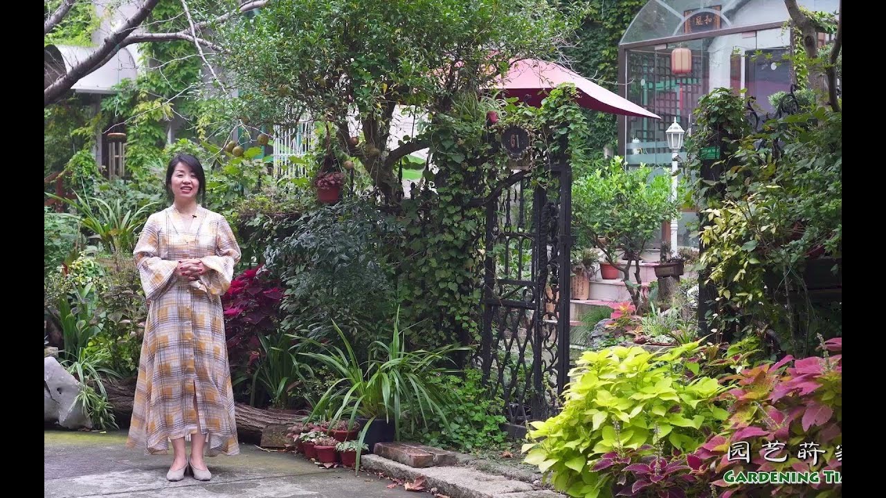 拜访私家日式花园【小时间，大园艺】