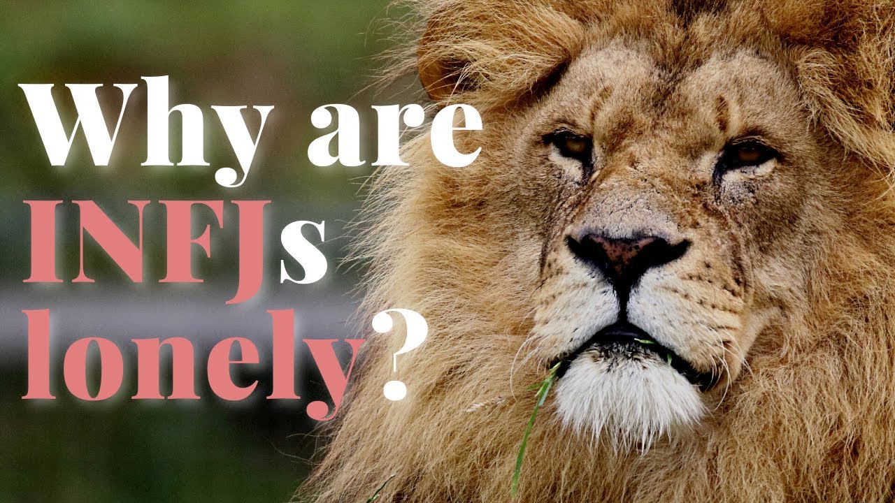 Why do INFJs have few or no friends?