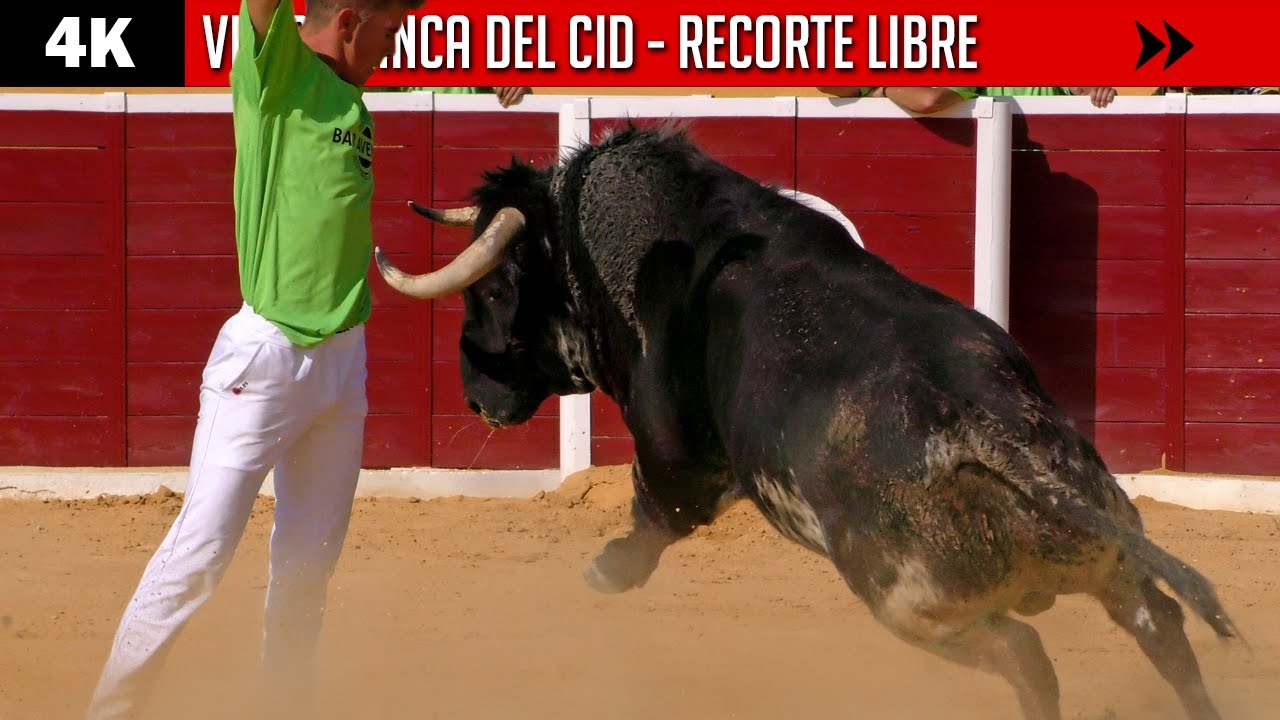 VILLAFRANCA DEL CID ◾ CONCURSO DE RECORTADORES CON TOROS 2021 ◾