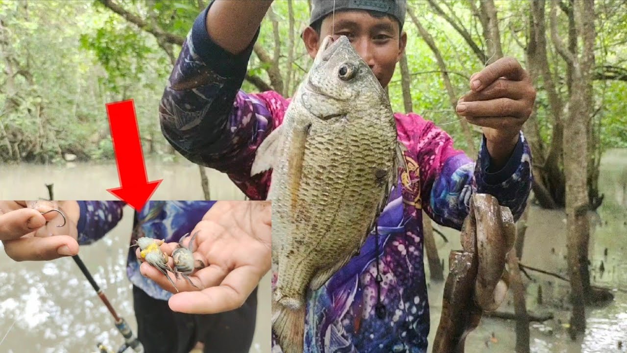 MANCING IKAN BEKUKON DISUNGAI YG LAGI BANJIR || DAN CARA MEMASANG UMPANYA