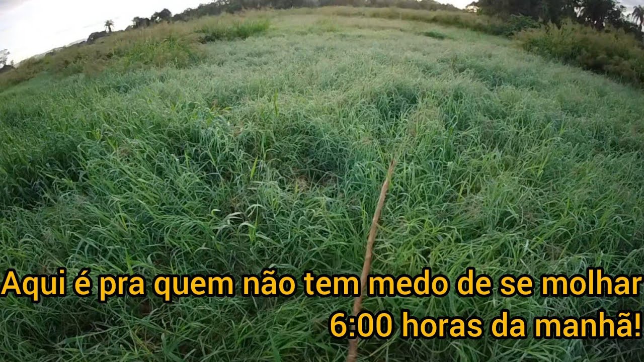 As pescarias nesse rio tá cada vez mais difícil, porque será? #pescaria