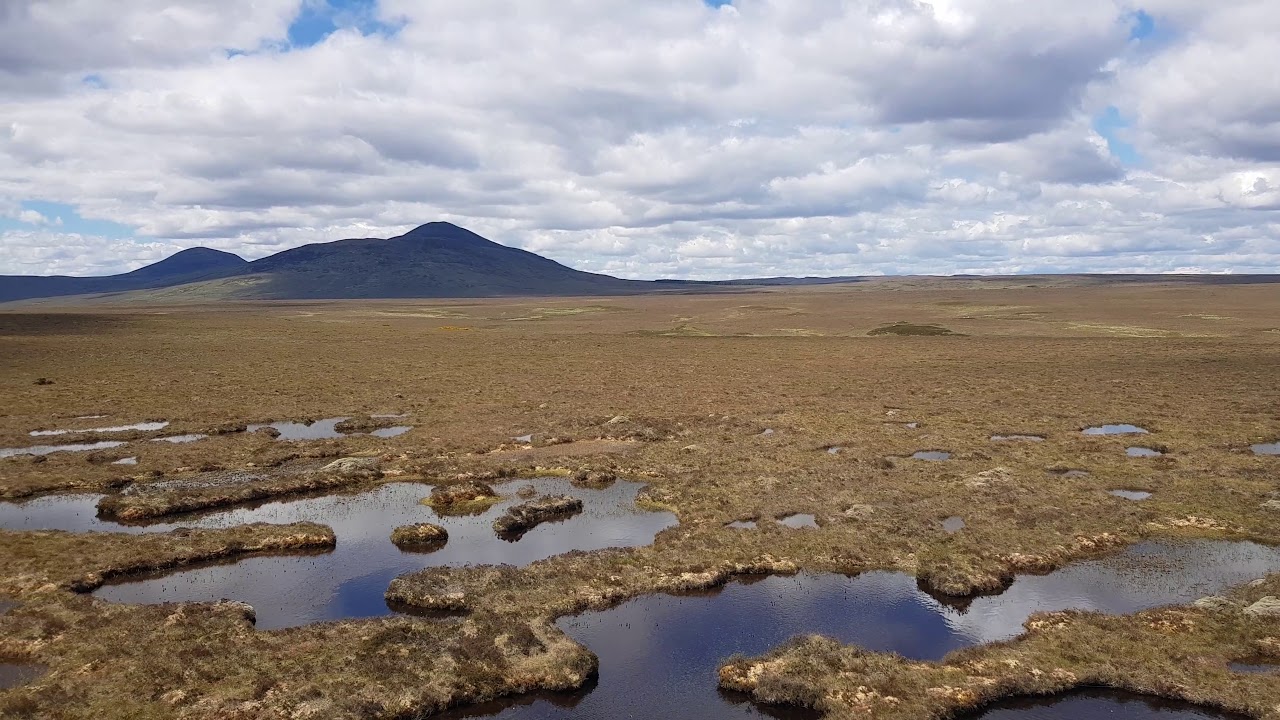 Looking out over Flow Country at Forsinard