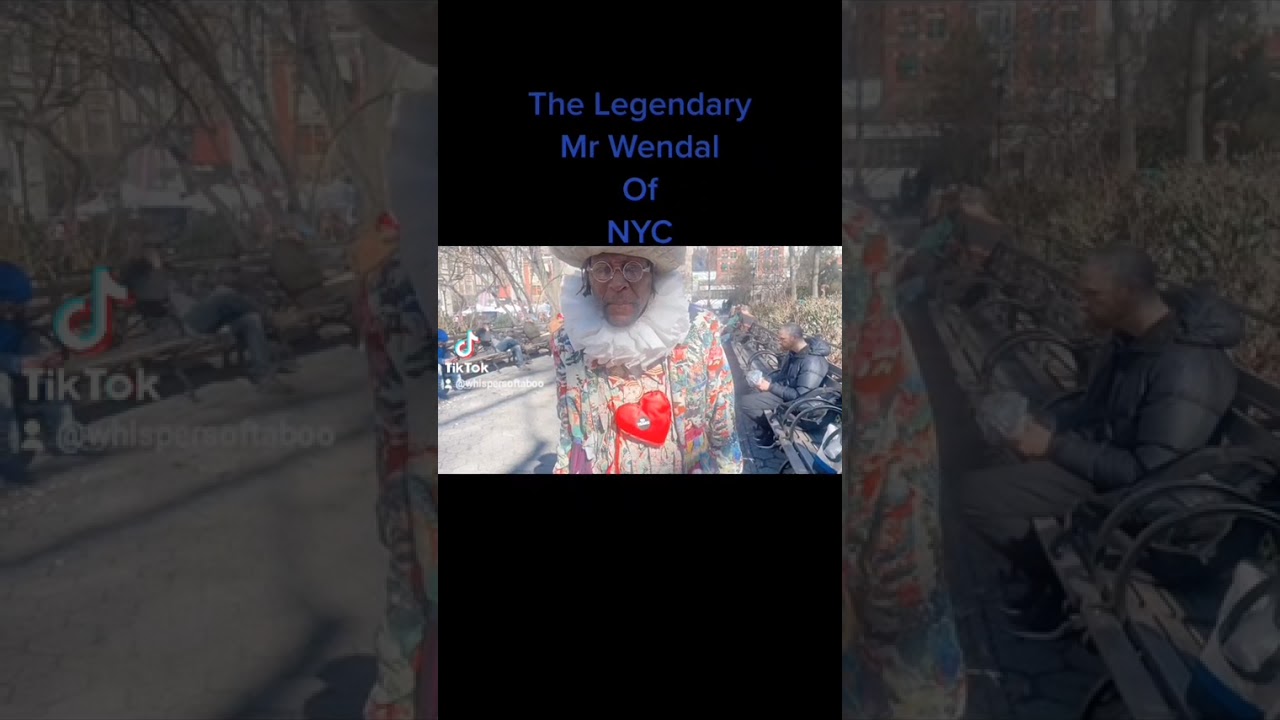 Mr Wendal                      