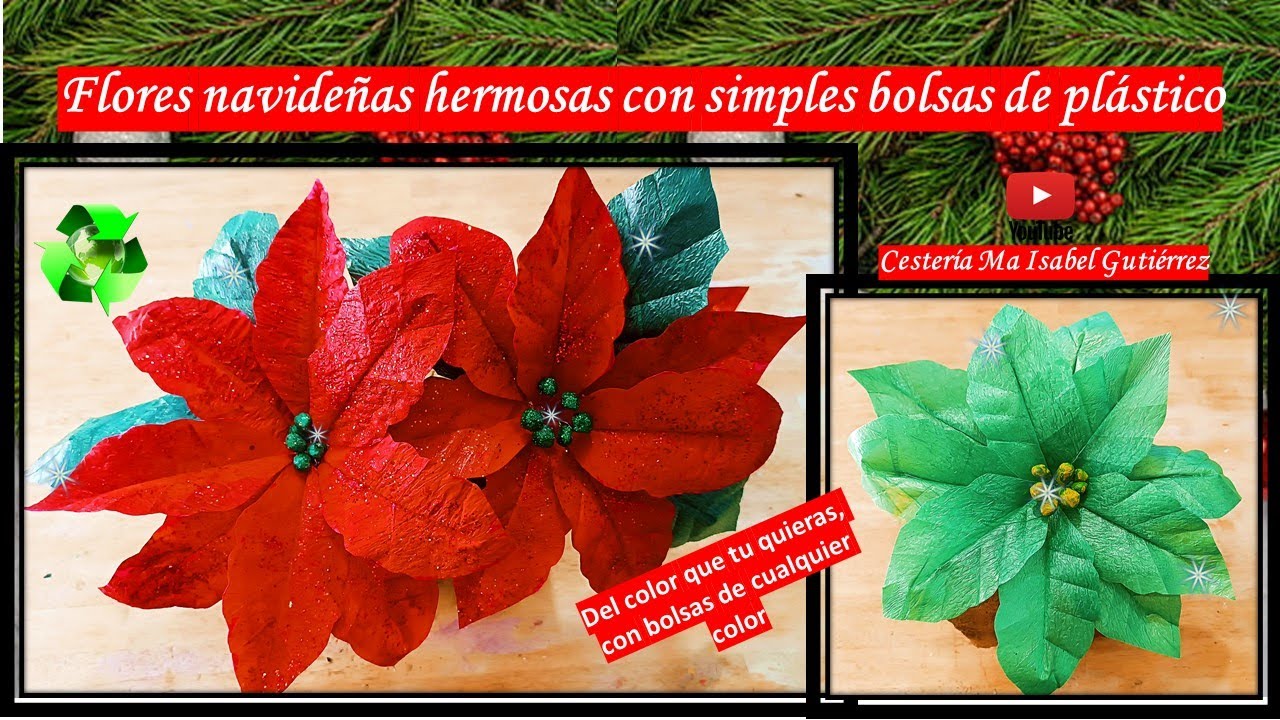 Flores navideñas hermosas con bolsas de plástico del color a tu gusto Sorteo Christmas flowers