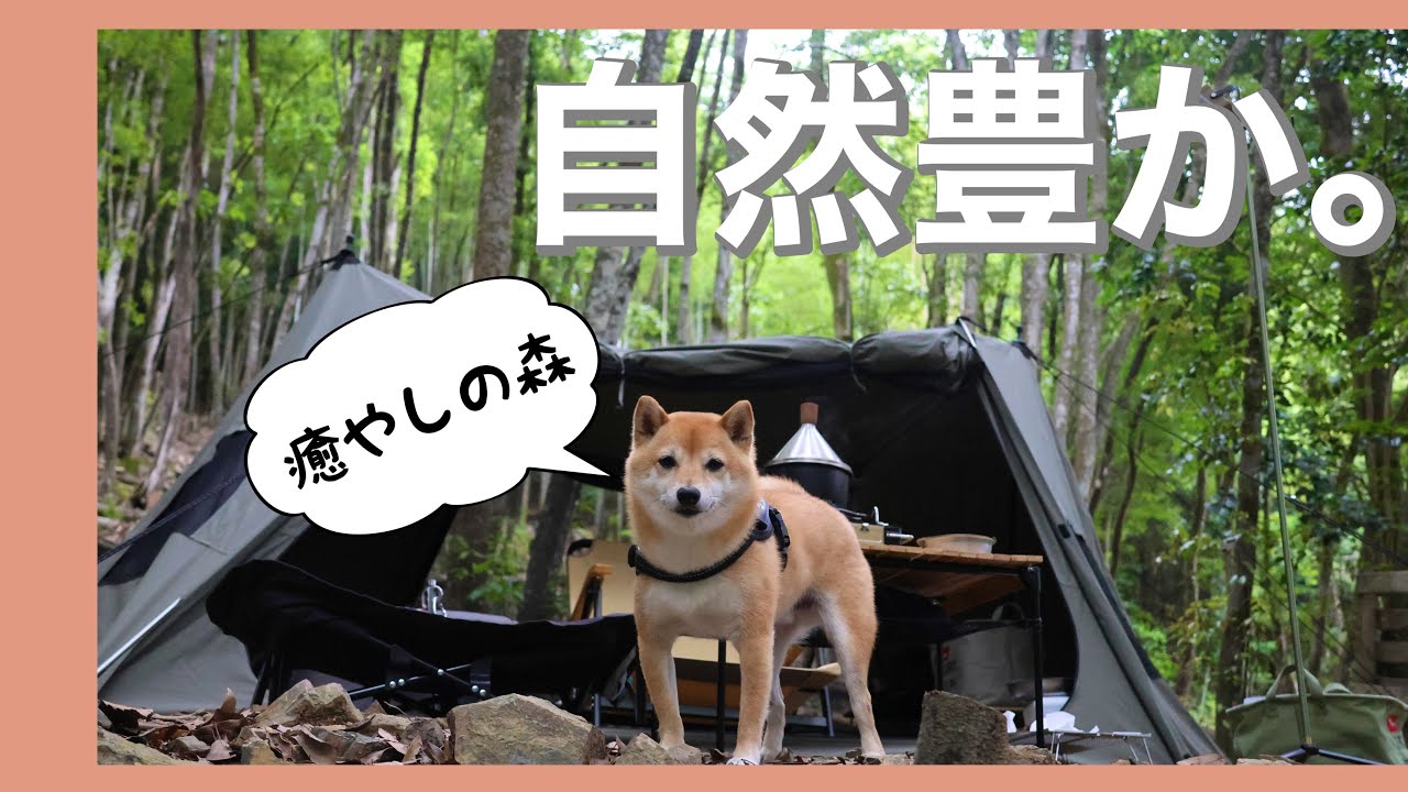 【犬連れキャンプ】雰囲気良し。自然豊かなキャンプ場で燻製を楽しむソロキャンプ　KAWAI VILLAGE CAMP（京都府）