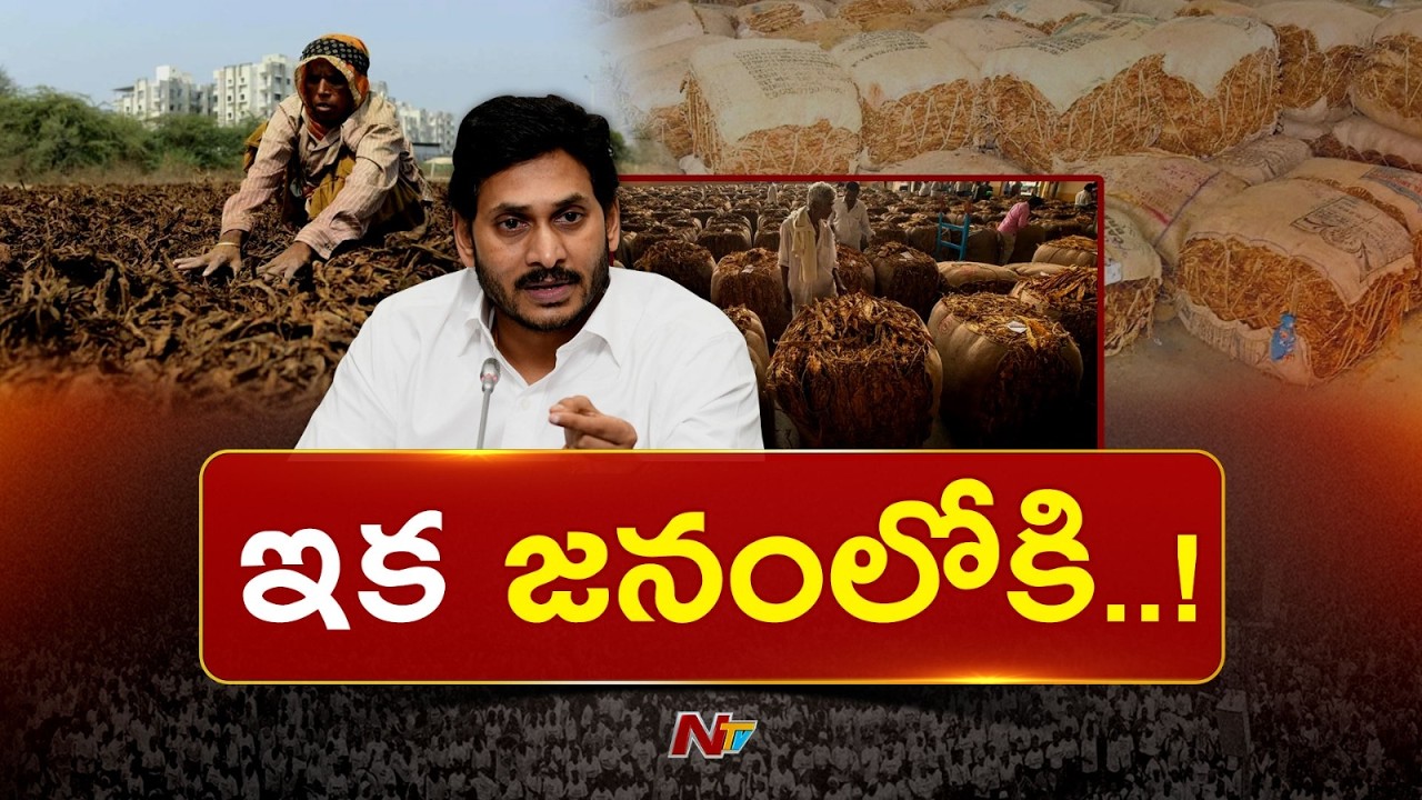 YS Jagan's Master Plan: పొగాకు రైతులతో వైఎస్ జగన్ భేటీ.. వైసీపీ నయా వ్యూహం ఇదేనా? | NTV Telugu