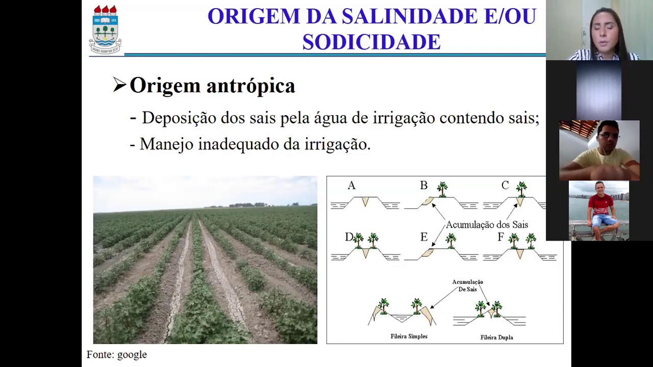 Salinidade e sodicidade do solo: Origem antr&oacute;pica