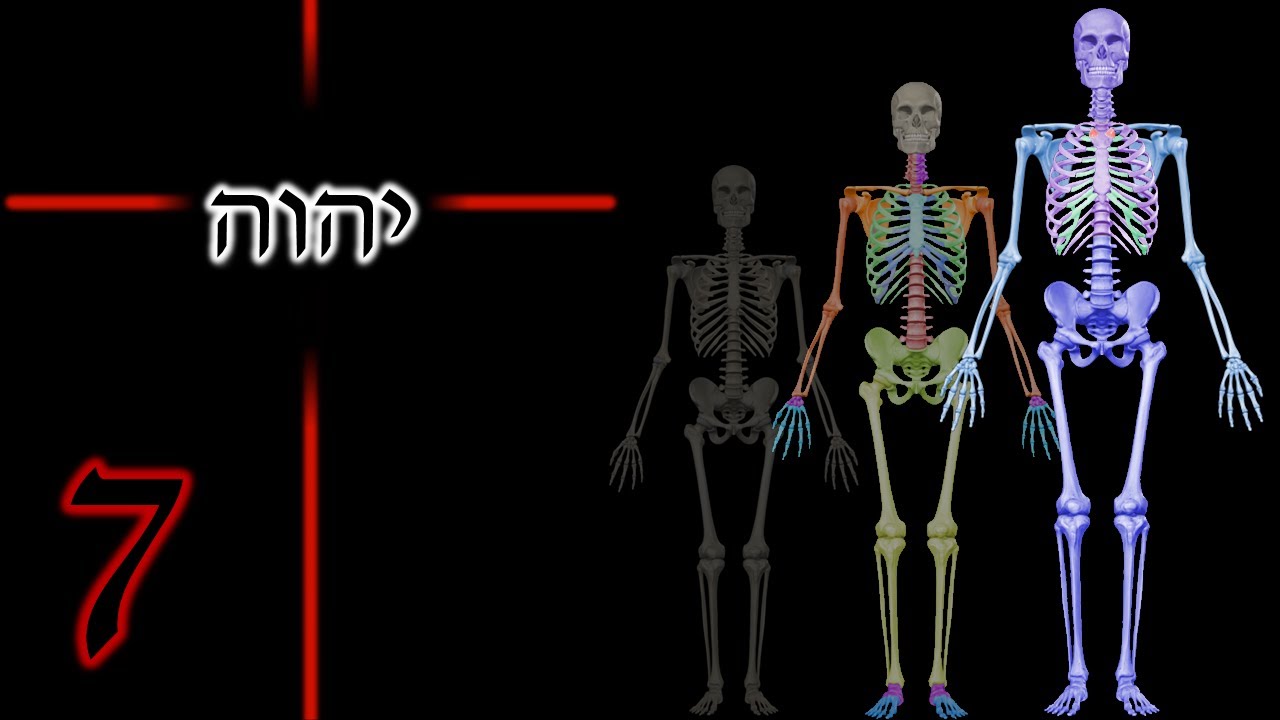 Jesus Christ 3773 & 888 everywhere in the human skeleton.