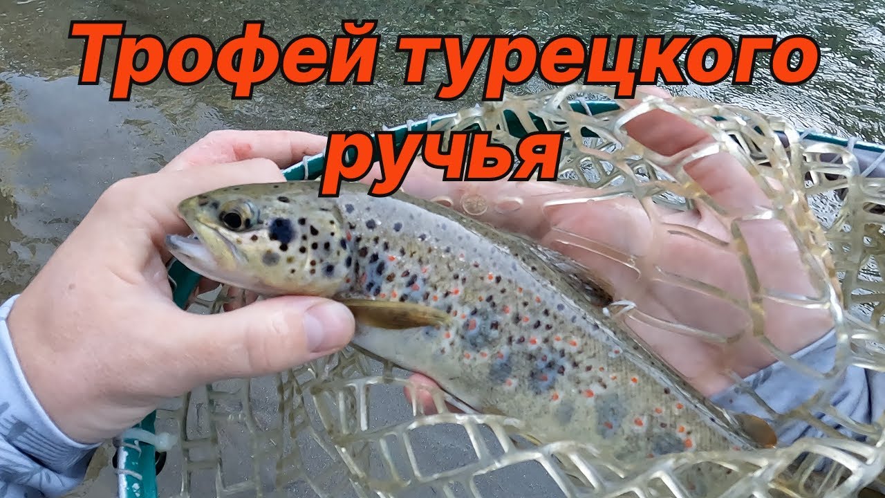 ТРОФЕЙ ТУРЕЦКОГО РУЧЬЯ. Рыбалка в Турции (4K)