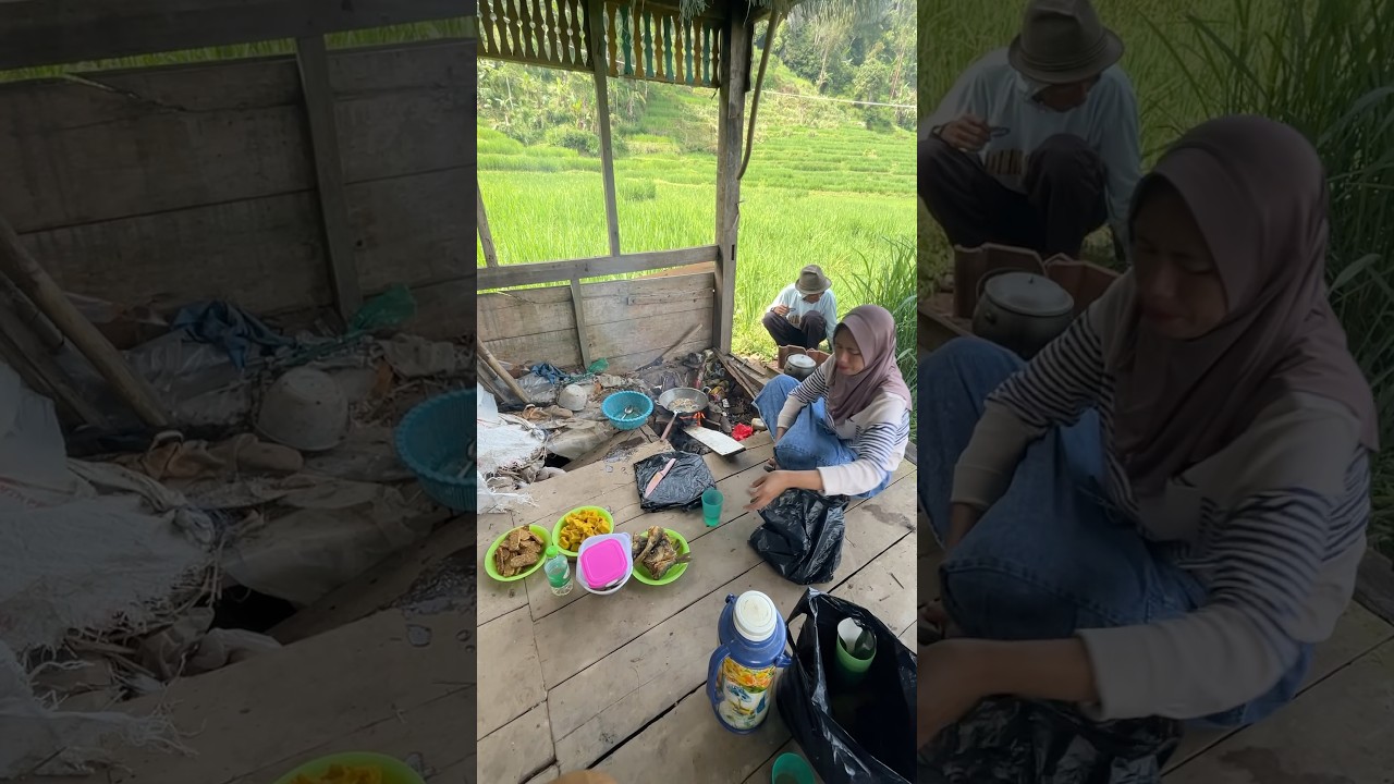 Masak Nasi Liwet Di Saung Tengah Sawah Yang Sejuk Dan Nikmat #village #liwetan #shorts #sawah #fyp