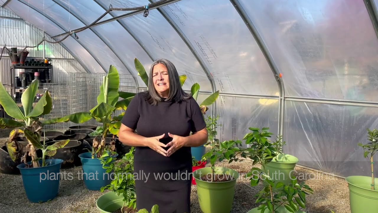 Virtual Greenhouse Tour on our Urban Farm