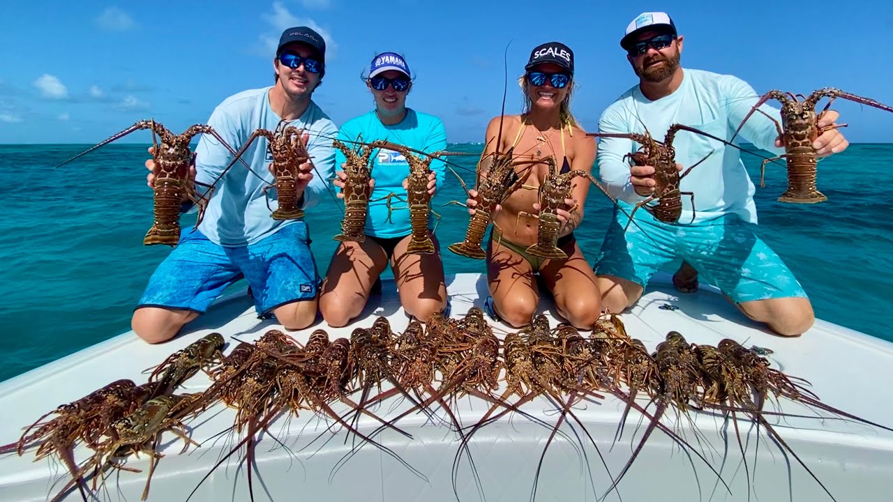 FLORIDA KEYS LOBSTER! Catch Clean Cook - Mini Season July 2020