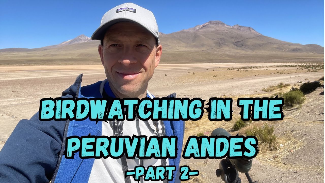 Birding the wild Peruvian Andes! PART 2